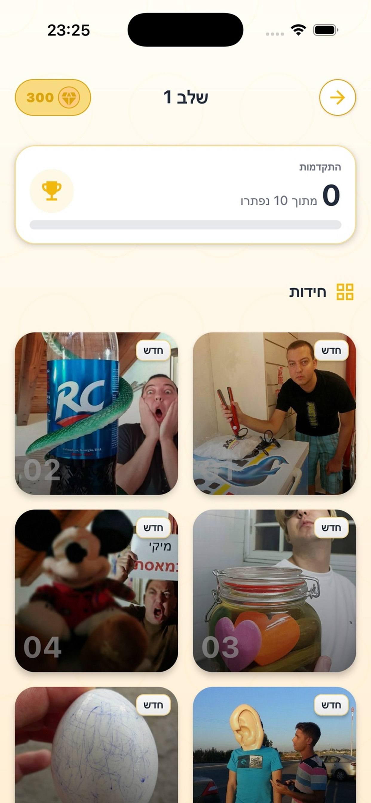 תוכן השלב - חידות לפתרון